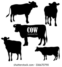 Set of five cow and bull silhouettes, isolated on white background