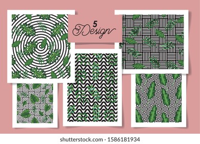 set of five designs geometric patterns with leafs tropicals vector illustration design