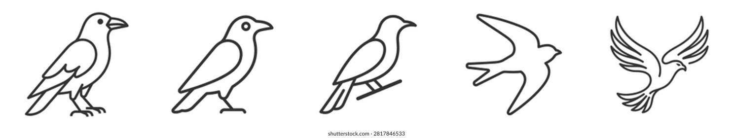 set of five different bird outlines black line art vector illustrations on transparent background