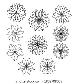 A set of five different flowers designed for coloring or web design