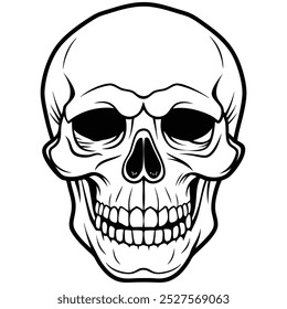 A set of five different greyscale vector illustrations of human skulls in various views and expressions.