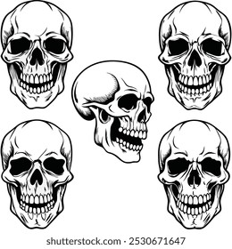 A set of five different greyscale vector illustrations of human skulls in various views and expressions.