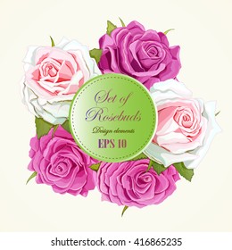 
Set of five different roses. Hand drawn vector illustration. Design element, can be used in wedding invitation, floral frame, advertising, and other appearance and cards. Circle is easy removable.