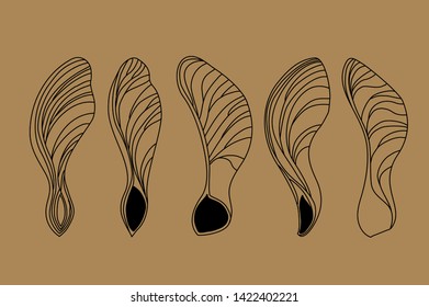 Set of five differently shaped maple seeds. Vector images of natural elements on brown background for eco design. Linear drawing of maple lionfish. Black on eco background