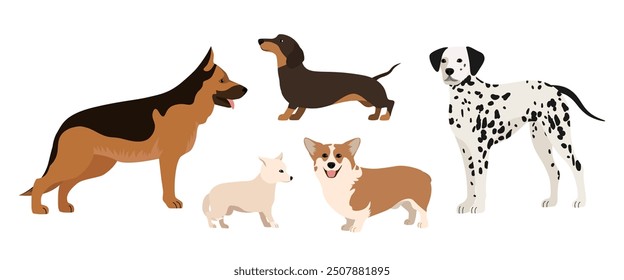 Set of five dogs isolated on a white background. Chihuahua, dachshund, shepherd and dalmatian dogs.