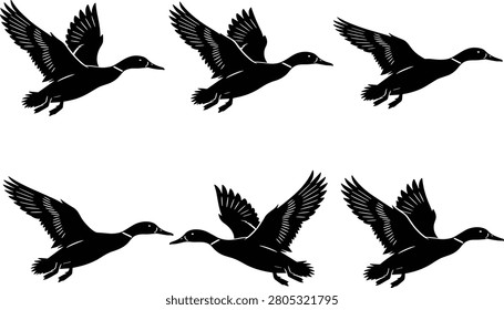 A set of five duck silhouettes in flight, arranged in a loose formation with wings extended upward and outward. Ideal for wildlife-themed artwork, migration concepts, and commercial creative projects in both digital and print formats.