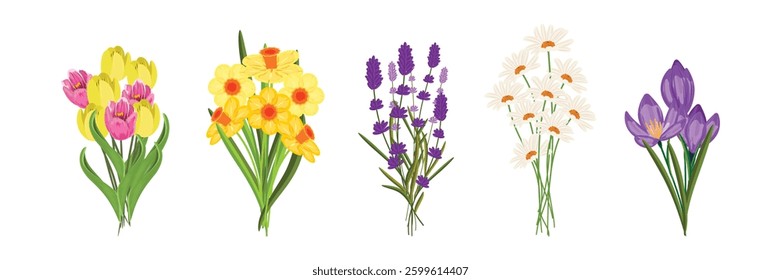 Set of five floral bouquets featuring tulips, narcissus, lavender, camomile, and crocus, ideal for spring and summer designs
