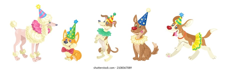 Set of five funny circus dogs in colorful costumes. In cartoon style. Isolated on white background. Vector flat illustration.