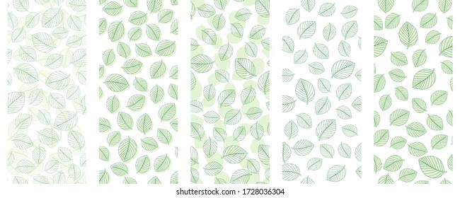 Set of five green leaves seamless on white background. Vector illustration.