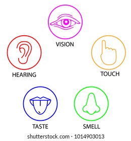 set of five human senses