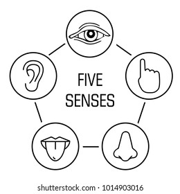 set of five human senses