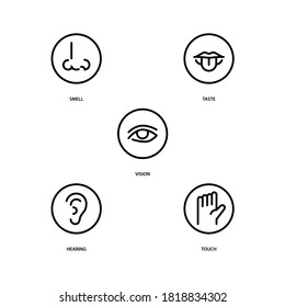 Set of five human senses. Human, Ear, Nose, Eyes and Mouth in circle. Line vector. Isolate on white background.