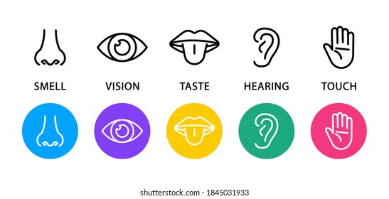 Set of five human senses flat icons. Vision, hearing, taste, smell, touch.