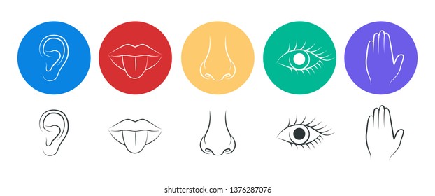 A set of five human senses. Hearing, taste, smell, sight and touch.