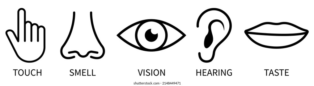 Set of five human senses icons. Collection of outline symbols. Vision, hearing, smell, taste and touch. Vector illustration isolated on white background
