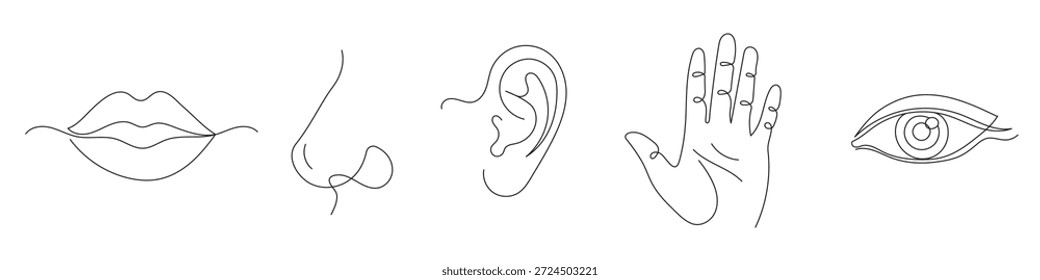 A set of the five human senses in a minimalist one-line art style: sight, hearing, smell, taste, and touch. Editable line art
