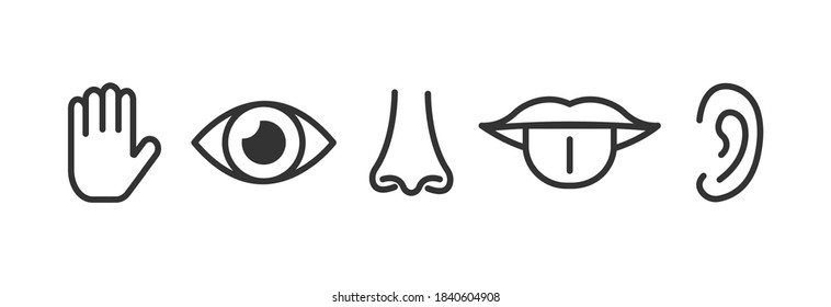 Set of five human senses: sight, smell, hearing, touch, taste. Simple line icons.