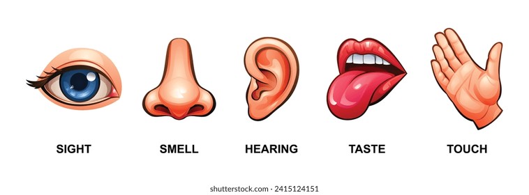 Set of five human senses. Sight, smell, hearing, taste and touch. Vector illustration