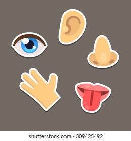 Set Of Five Human Senses Symbols, Flat Cartoon Style.