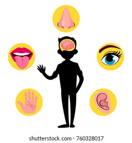 Set of five human senses: vision (eye), smell (nose), hearing (ear), touch (hand), taste (mouth with tongue) with man in the center. Vector illustration isolated on white background