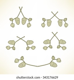 set of five logos of the branches with acorns