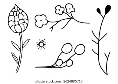 Conjunto de cinco iconos naturales aislados sobre fondo blanco. En versión en blanco y negro de la planta. Medio ambiente, naturaleza, flora. Decoración para postales, carteles, tarjetas de visita, invitaciones.