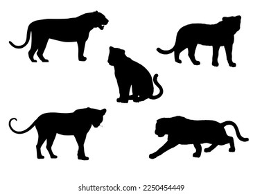 Set of five panther silhouettes