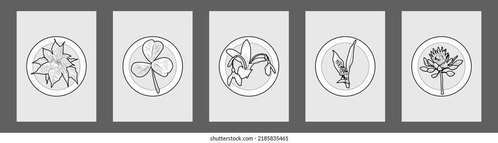 A set of five plants. Black and white clipart. Protea, lily of the valley, poinsettia (Christmas star), snowdrop, clover. For stickers, icons, postcard templates, tattoos, symbols for printing