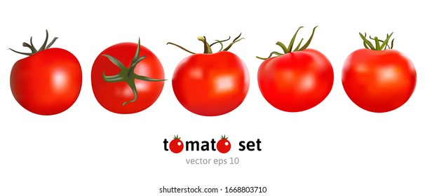 Set of five red fresh juicy ripe tomatoes on white background. Side and top view vegetables. Photorealistic vector elements for advertisement of a tomato sauce or ketchup or any organic farm food