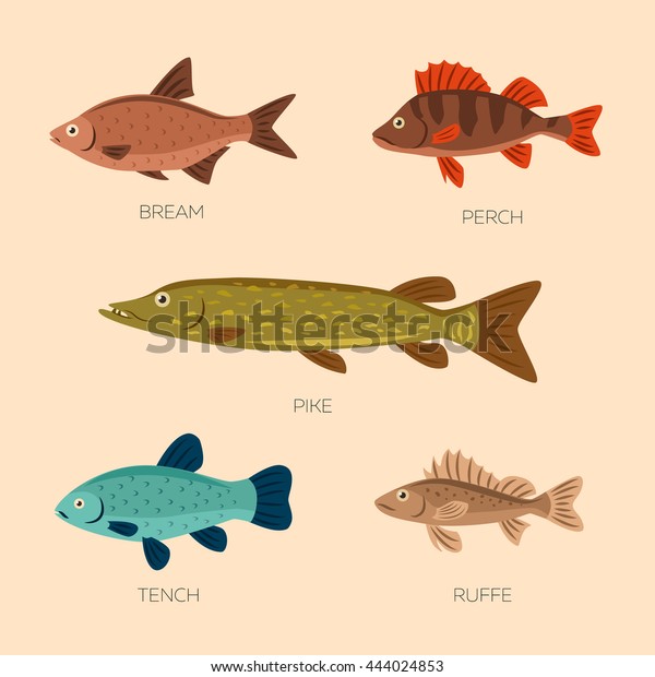 Set of five river fish: bream, perch, pike, ruffe, tench\
in flat style. 