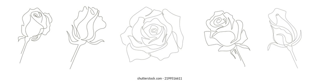 Set of five roses drawn in the style of one continuous line. Blossoming roses and buds. Stock vector illustration, isolated on white background