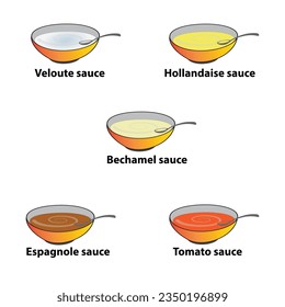 Set of five sauces like Veloute, Hollandaise, Bechamel, Espagnole and Tomato