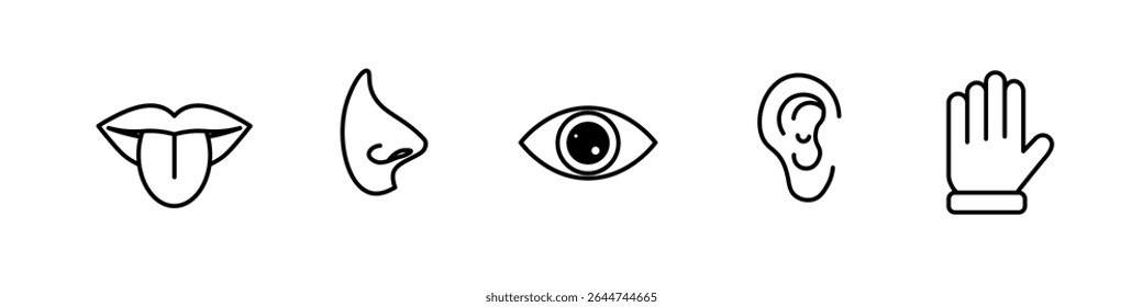Set of five senses of the human nervous system
Vector linear illustration.