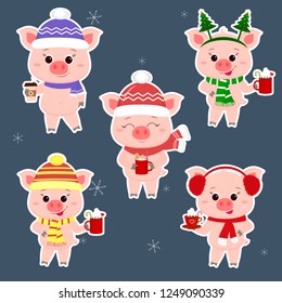 A set of five stickers of pigs in different hats and a scarf with cups of different hot drinks in a white stroke. Happy New Year and Merry Christmas. The symbol of the Chinese New Year. Vector.