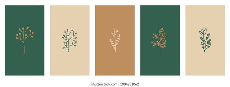 A set of five stories templates with botanical drawings in green, beige and brown. Trendy minimalist style flyer, card, brochure, social media post design.