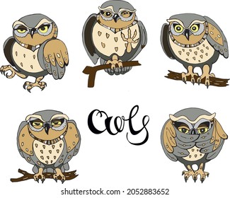 set of five vector images of owls and lettering