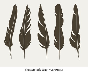 Set of five vector silhouettes of feathers