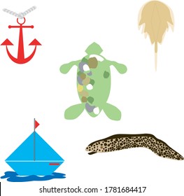 Set of five vectors. An anchor with a tied rope, a sailboat on the water, a horseshoe crab,  a sea turtle, and a moray eel.