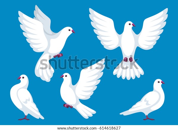 Set Five White Doves Beautiful Pigeons Stock Vector (Royalty Free ...