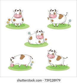 Set of five young cute cow pictures in different positions - lying, standing, walking, grazing, playing. Vector illustration.