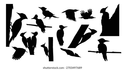 Satz von Flammrückenspecht Vogel Vektor Silhouetten