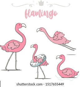 Set Flamingo Bird in Summer with Swimming. Hand drawn cute colofrul illustration. Flat design vector. Flying Pink Flamingo. Summer Beach Vacation Flamingo