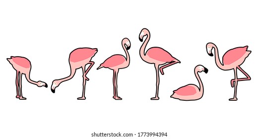 Set of Flamingo bird, Bird vector illustration, eps10 vector format.