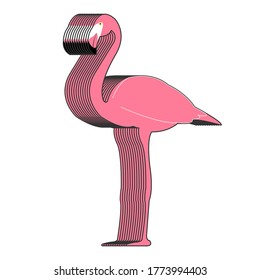 Set of Flamingo bird, Bird vector illustration, eps10 vector format.