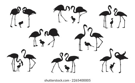 set of flamingo  birds silhouette. vector isolated. elegant flamingo birds family. Illustration depicting a flamingo standing.