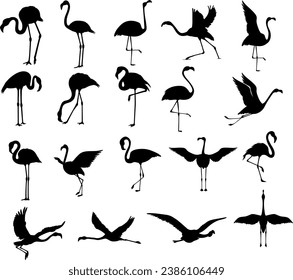 Set of  flamingo birds silhouettes. Isolated vector on white background