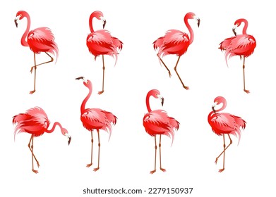 Conjunto de concepto flamingo en el estilo de dibujo plano sobre un fondo blanco. Imágenes de un flamingo rosa desde diferentes ángulos. Ilustración vectorial.