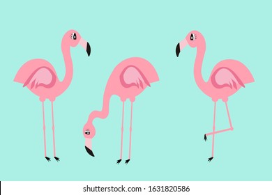 set of flamingo  illustration vector nursery