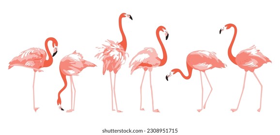 Set of flamingo illustrations in different poses, isolated on the neutral background.