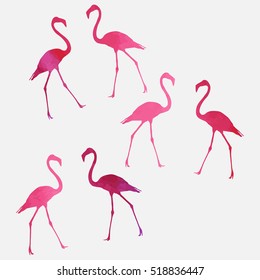 Set of a flamingo on a colored background. Watercolor flamingo